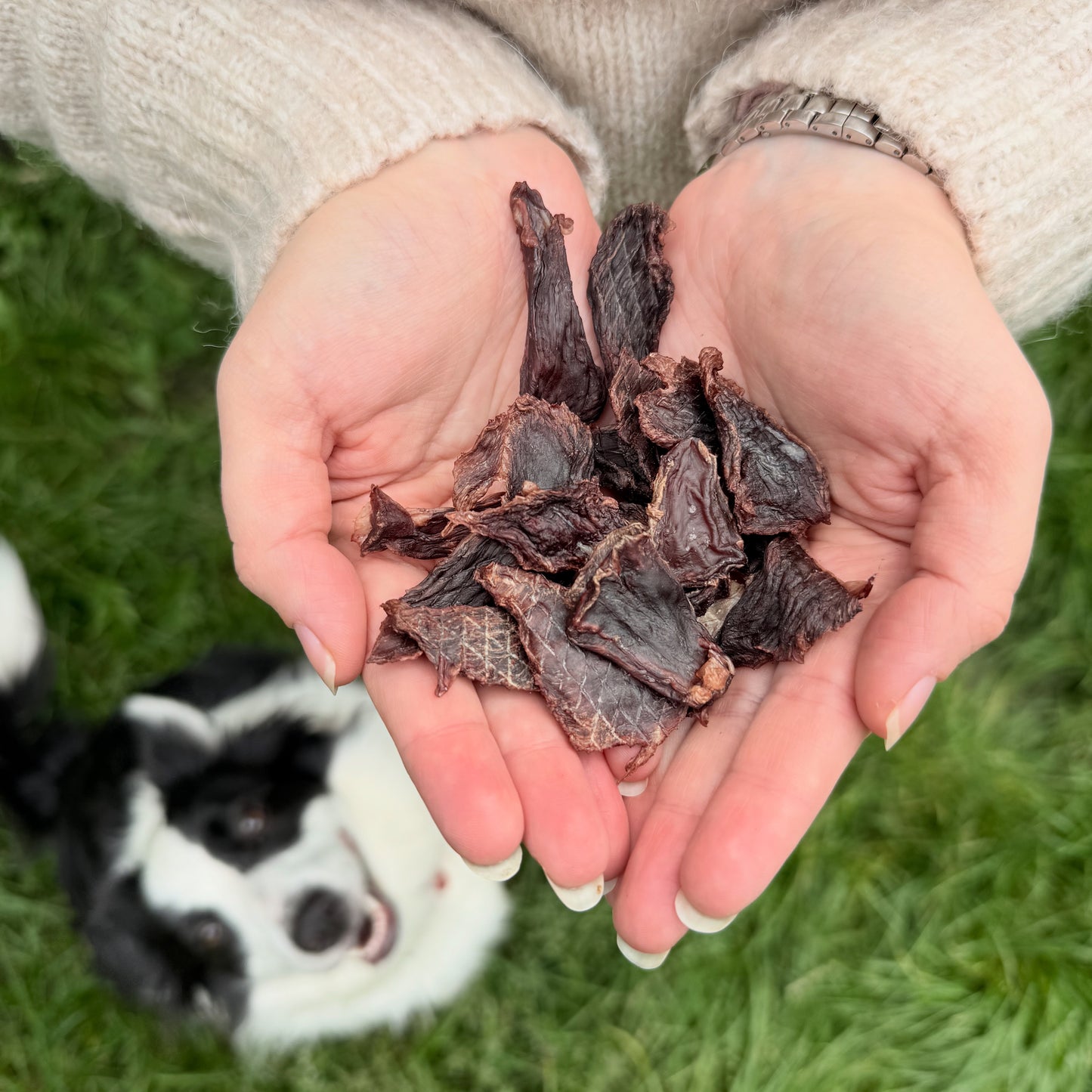 Domácí sušené jerky - daněk