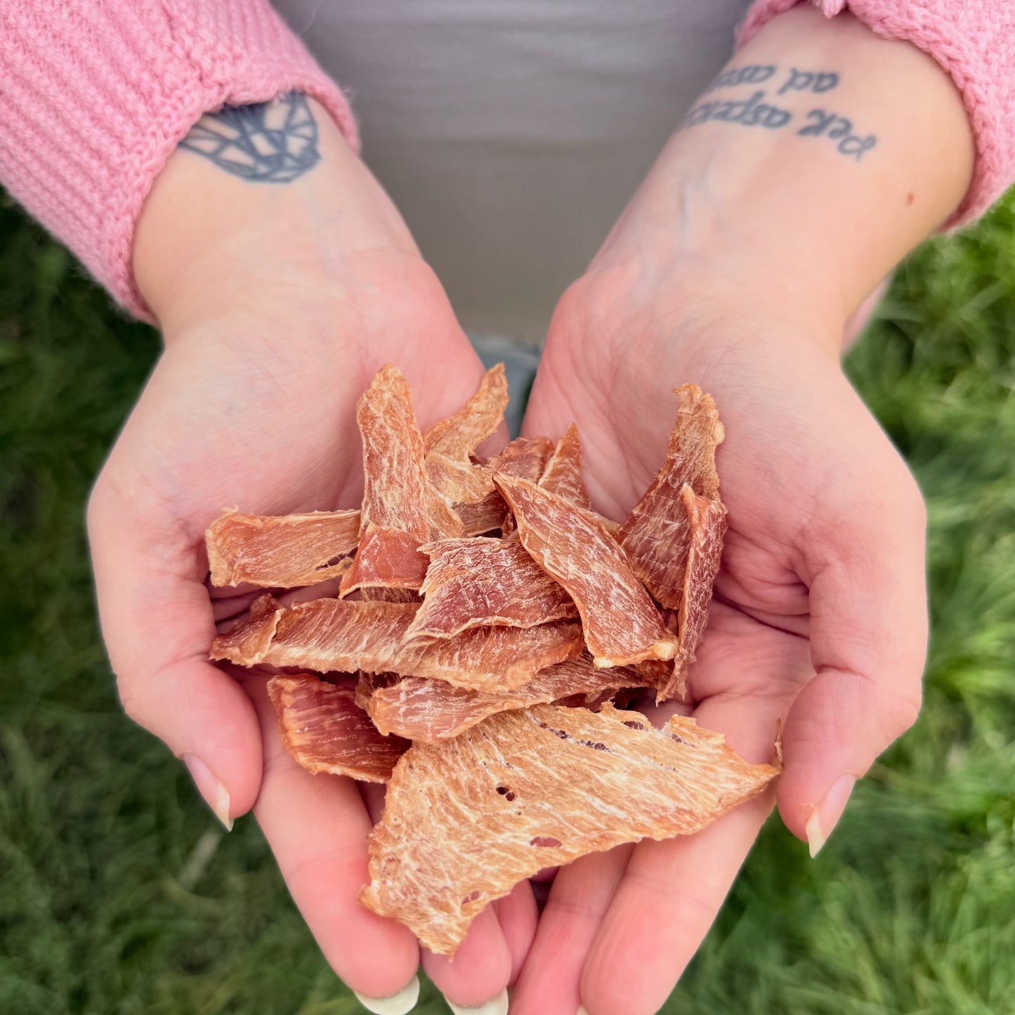 Domácí sušené jerky - vepřové